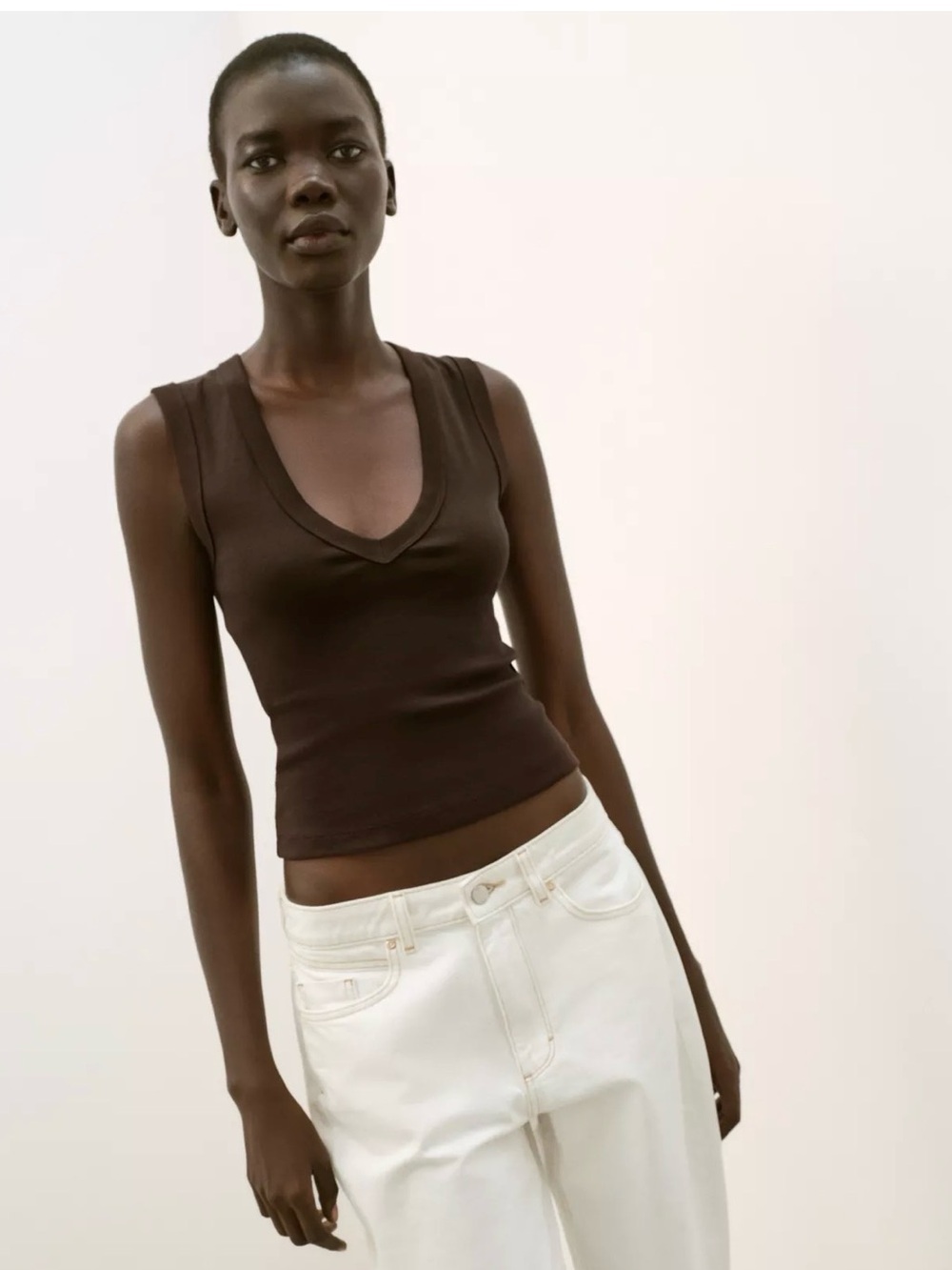 Zara Sleeveless Deep V-Neck Brown Top - L